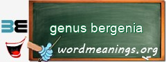 WordMeaning blackboard for genus bergenia